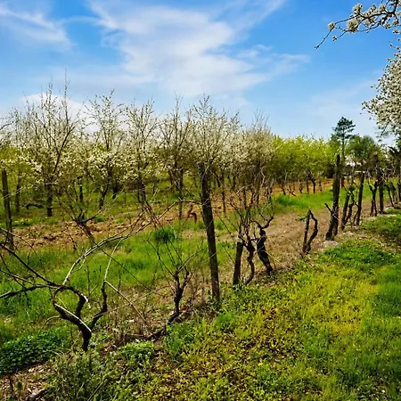 Domaine Du Perron